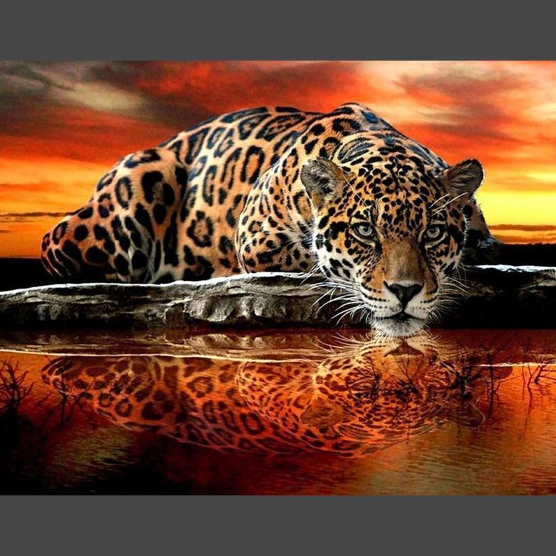 All animals diamond painting